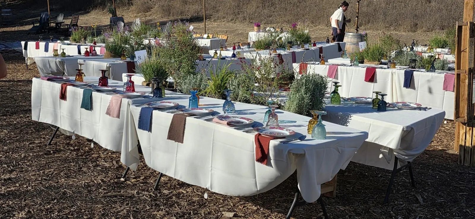 Parties, Events & Celebrations