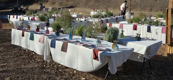 Parties, Events & Celebrations