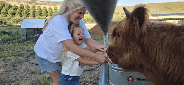 A woman and child hand-feeding a Highland coo