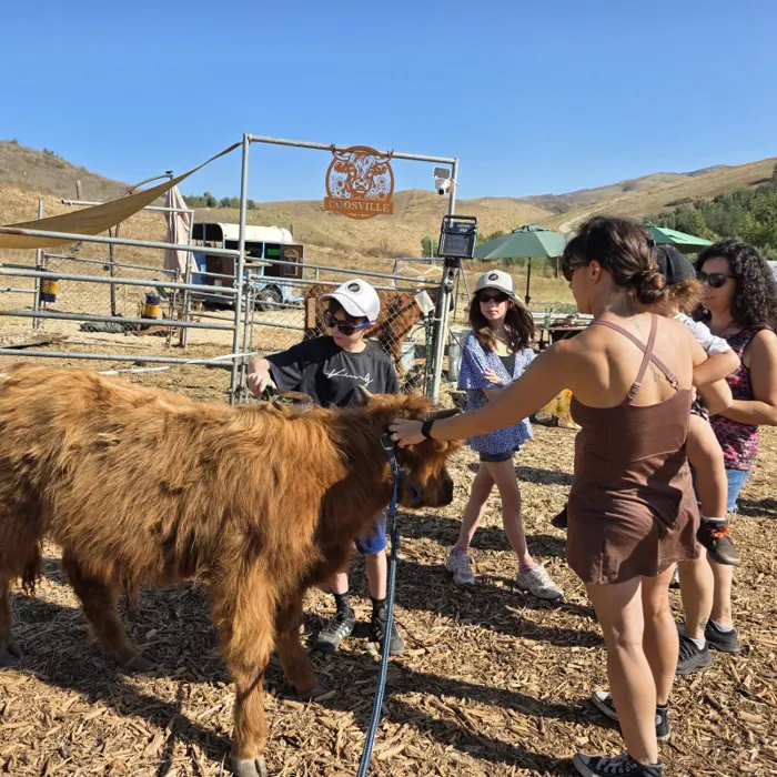 Hands-On Animal Experiences, Homeschool Tours & Field Trips