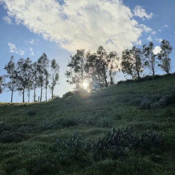 Filming Location