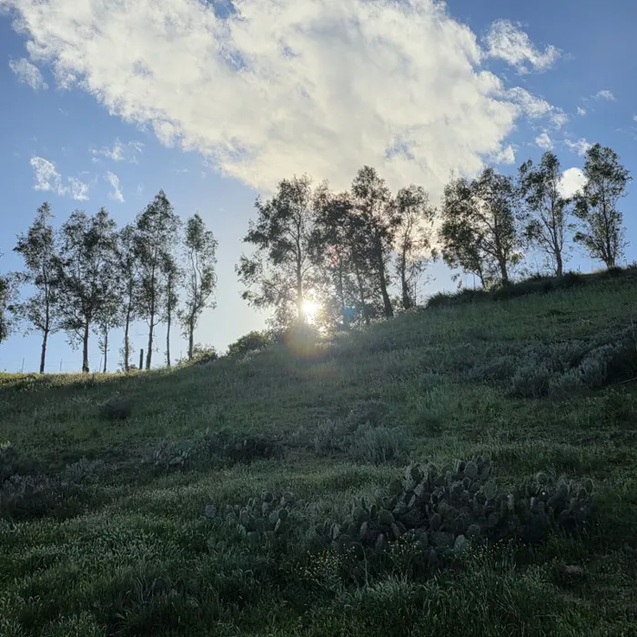 Filming Location